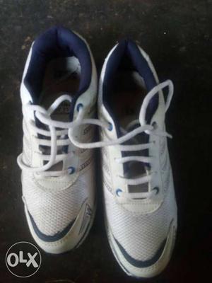 Running shoe cargo brand unused foriegn collection