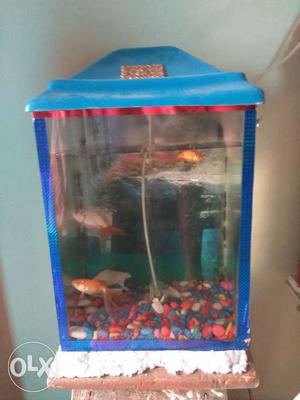 Selling my aquarium with 3 goldfish &gravel,2