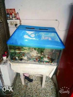 With all accessories 2×1×1 Fish tank.. & 5 Fish...