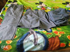 Gray School pants and shorts