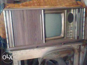 A Television for Sell