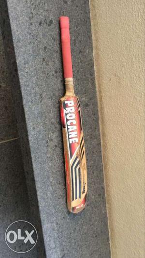 Cricket bat - sigen