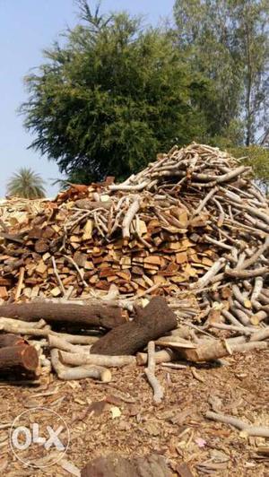 Fire wood 400 Rs/100kg