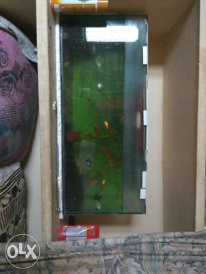 3feet length fish tank for sale