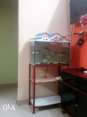 Fish tank along with oxygen motor with stand and