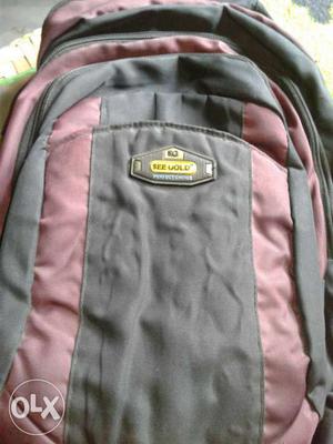 Pink And Gray See Gold Backpack