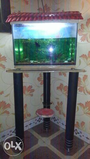 Two 10 gallon tanks one for 600rs and other for