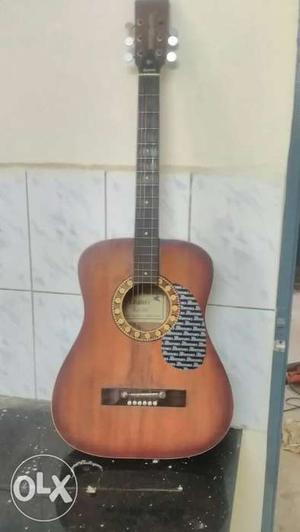 Brown And Black Ebanez Acoustic guitar