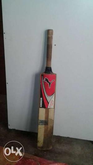 Brown And Red Puma Cricket Bat