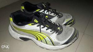 Puma exsis running shoes in excellent condition