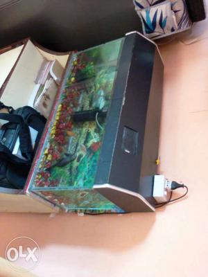 Black Frame Pet Fish Tank