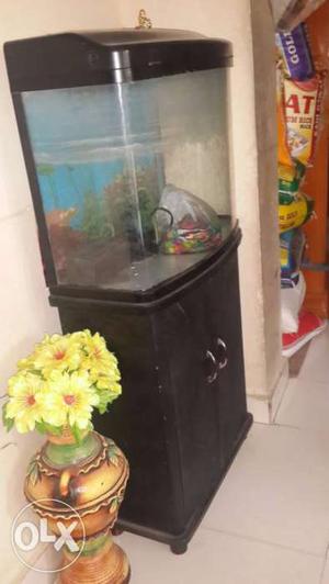 Fish aquarium black colour.