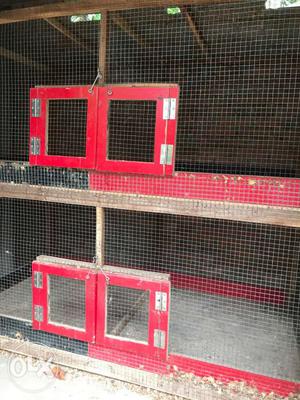 Red Wooden Framed Birds/pegion cage