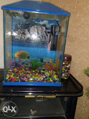 1.5 ×2 feet aquarium with 2 goldfish 2 angelfish