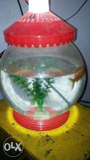 Aquarium Bowl With Three Fishes And All Accessories