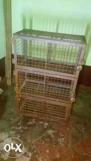 Beautiful two months old pigeon cage.