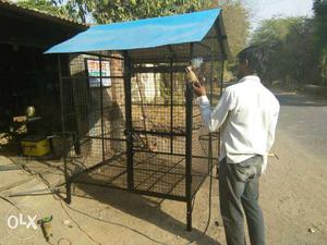 Dog protection khurad in home side