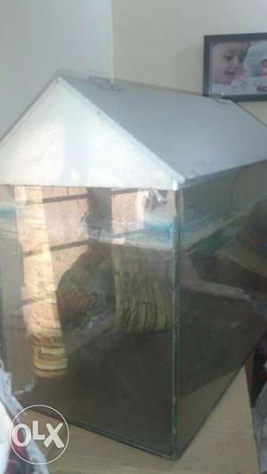 Fish Tank 2Ft X 1.5 FT X 1 FT with wallpaper and