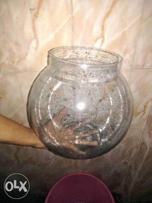 Fish pot Baul only 300 in cst