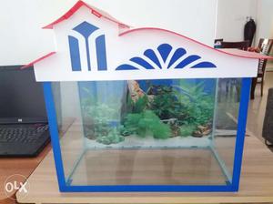 Fish tank -  (l×b×h) inches + color stones