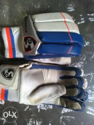 It's a left handed sg brand Gloves. Only 1 months