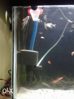 Only 10 Days old Aquarium Top Filter for sell...
