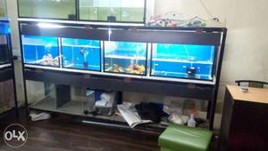Rack and fish tank for sale