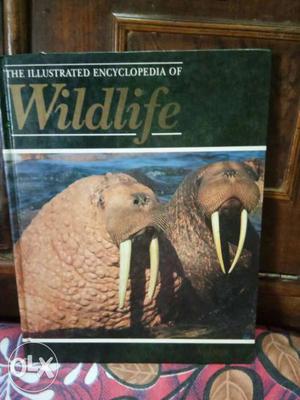 The Illustrated Encyclopedia Of Wildlife