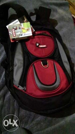 Black Gray And Red Backpack Bag