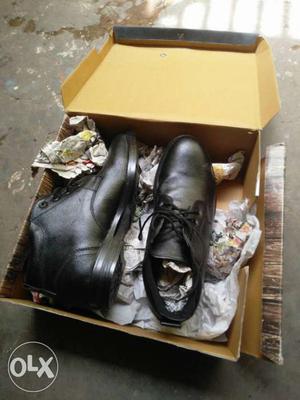 Black Leather Dress Shoes In Box
