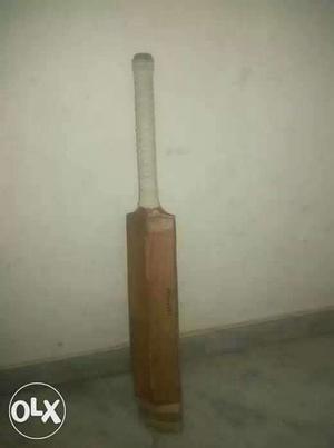 I sell my sg xtreme bat...without