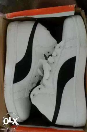 Pair Of White Sneakers In Box