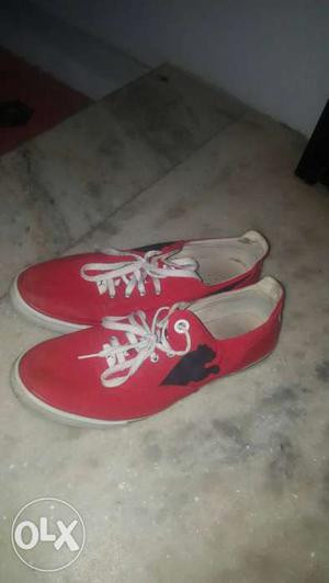 RED PUMA SHOES, bought 2.5 months back.