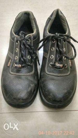 Safety Shoes, Size 8, - in Mint condition. Used