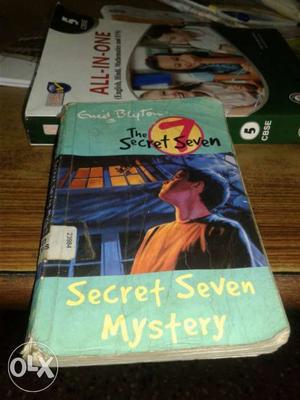 The Secret Seven Mystery