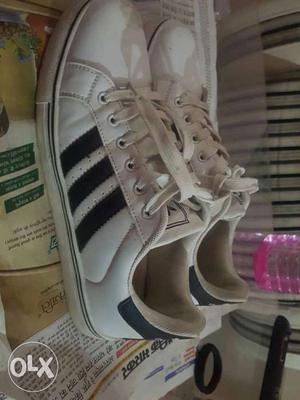 White-and-black Adidas Low Top Sneakers