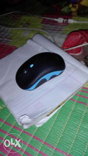 Black And Blue Wireless Computer Mouse