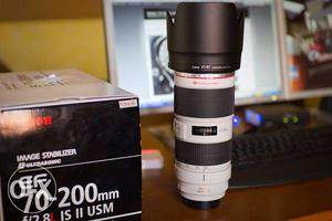 Canon mm f/2.8 ISII Lens
