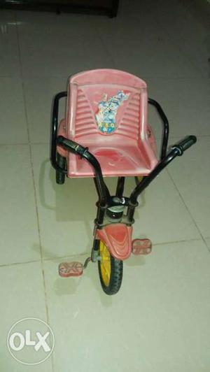 Toddler's Pink Tricycle