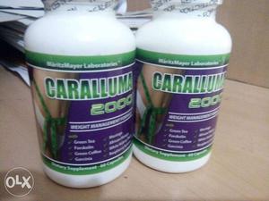 Two  Caralluma Bottles