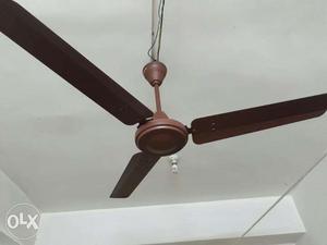 USHA 3-blades ceiling fan. Immediate sale as shifting