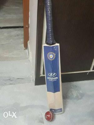 Blue And Brown Hyundai Cricket Bat