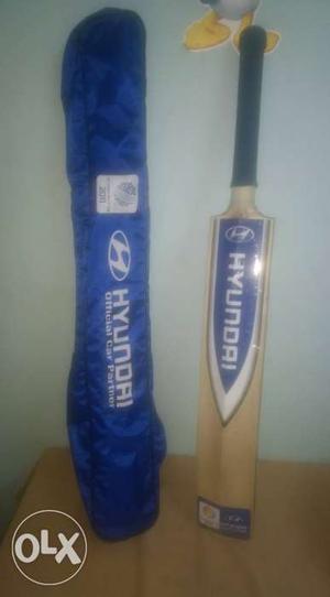 Cricket Bat, new leather ball and gloves