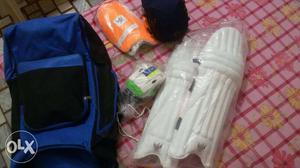 Original kashmiri billo cricket kit. With gloves,