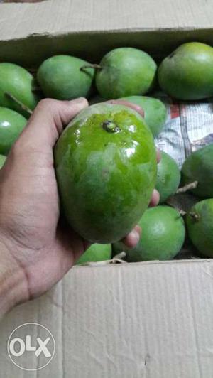 Pure first quality rajapuri mango.