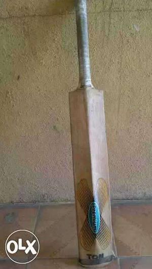 SS English willow (ton) Cricket Bat