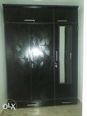 Black Closet Cabinet With Mirror
