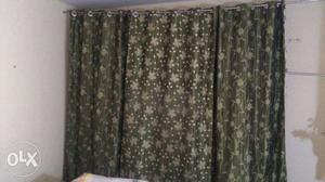 Set of three green colored Curtains for sale. One