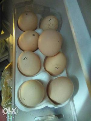 A Bunch Of Organic Eggs