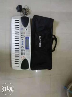 Casio keyboard with cover bag.